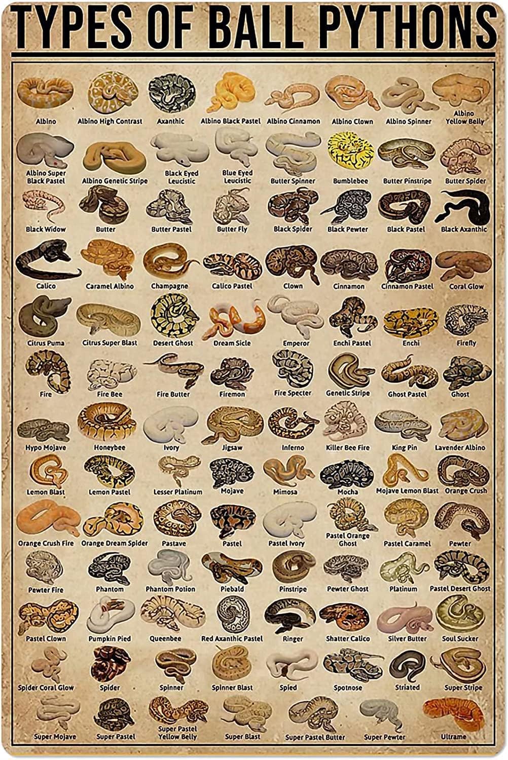 Retro Metal Tin Sign Types of  - огляд і ціна Retro Gaming Pictures
